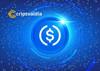 USDC ofrece una visión interesante sobre la estabilidad y volatilidad en el mercado