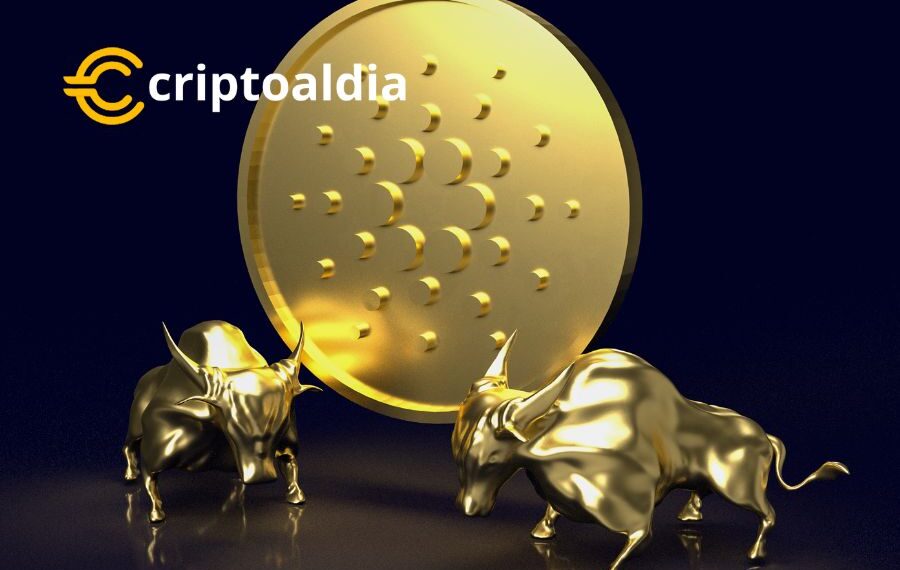 ADA resalta el potencial de las criptomonedas para generar retornos significativos a largo plazo