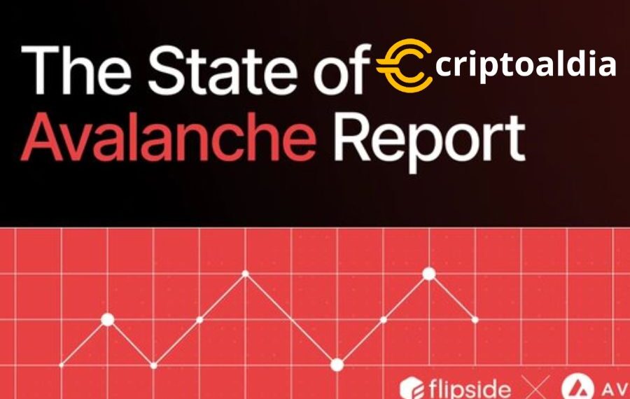 El crecimiento de Avalanche es testimonio de su sólido fundamentos y su capacidad para adaptarse