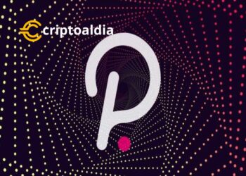 El precio más bajo pagado por Polkadot (DOT)