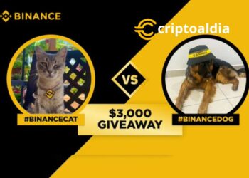 BinanceCat vs BinanceDog: El Regreso de la Batalla con Mayores Recompensas