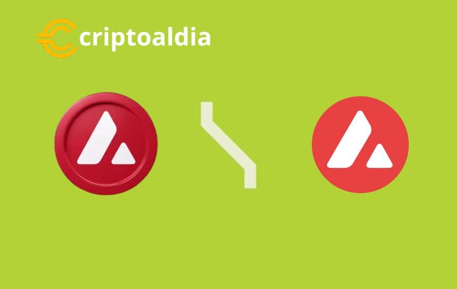 Tenzro: Innovación en el Desarrollo de dApps en Avax