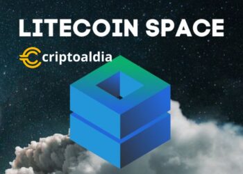Litecoin Space Amplía su Alcance con Soporte para Litecoin Testnet