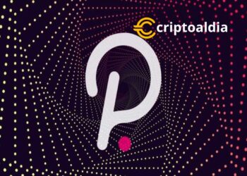 El precio más alto pagado por Polkadot (DOT)