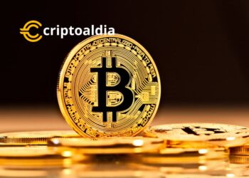 El viaje de Bitcoin es un fascinante viaje de montaña rusa que ha cautivado a inversores