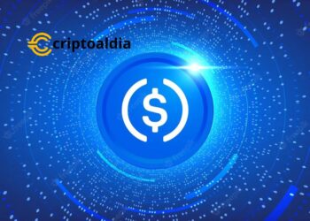 ¡USDC: El Momento Perfecto para Invertir o Perderse una Oportunidad Única!