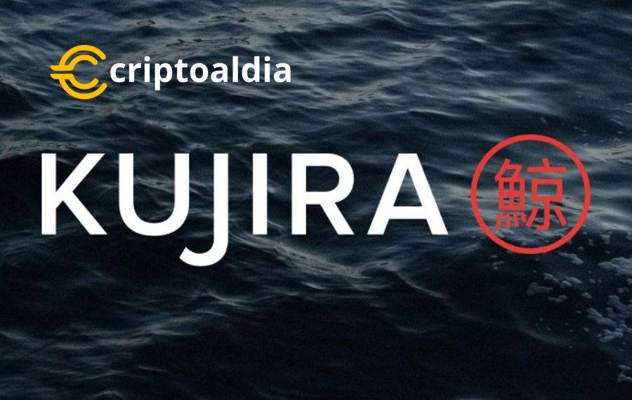 Kujira (KUJI): De la Oscuridad a las Alturas, un Aumento del 221.499% en 2 Años