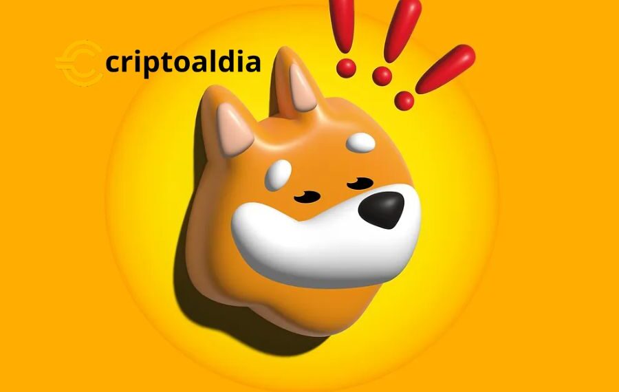 ¡El Ascenso Exponencial de Bonk: Una Historia de Éxito en el Mundo Cripto!