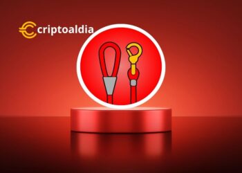 ¡LEASH en Picada: ¡Una Oportunidad de Oro para Invertir!