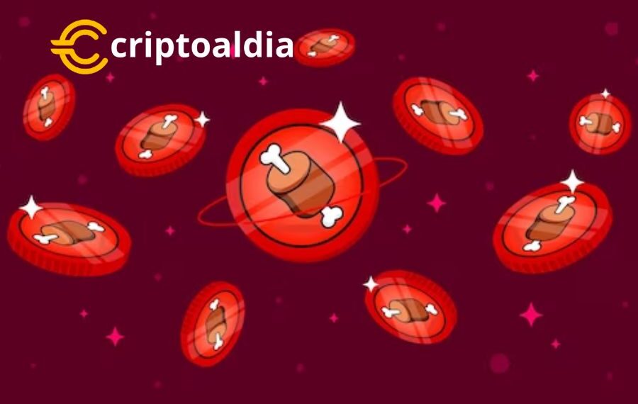 Bone ShibaSwap (BONE): De la Obscuridad a la Cima del Éxito