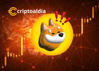 El Futuro Brillante de Bonk (BONK) en el Panorama Criptográfico Global