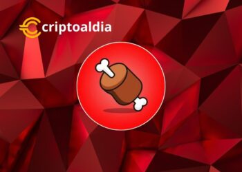 Bone ShibaSwap (BONE): El Auge de una Fuerza Financiera en Ascenso