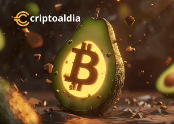 Bitcoin: El Brillante Rey de las Criptomonedas