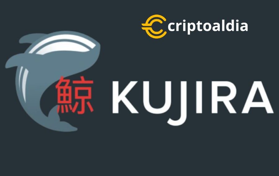 Kujira (KUJI): De la Oscuridad a la Gloria Financiera