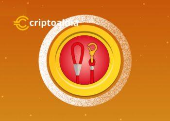 ¡LEASH Desata su Potencial con un Aumento del 43,30% en su Volumen de Operaciones!