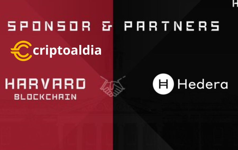 ¡Hedera Lidera el Camino en la Conferencia Harvard Blockchain HBC2024!