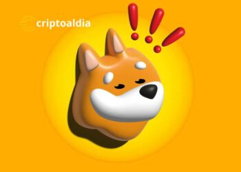 (BONK) Impulsa su Volumen de Transacciones en un 18,40%