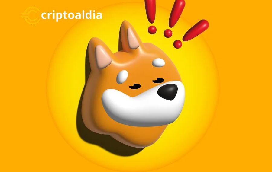 (BONK) Impulsa su Volumen de Transacciones en un 18,40%