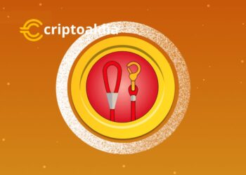 ¡Doge Killer (LEASH) Despega con un Increíble Aumento del 32,30% en su Volumen de Transacciones!