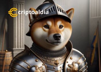 BONK: La Ascensión Imparable en el Mundo de las Criptomonedas