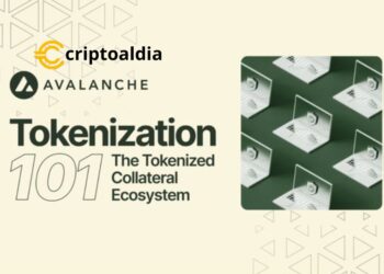 ¡Evergreen de Avalanche lidera la revolución de las garantías tokenizadas!