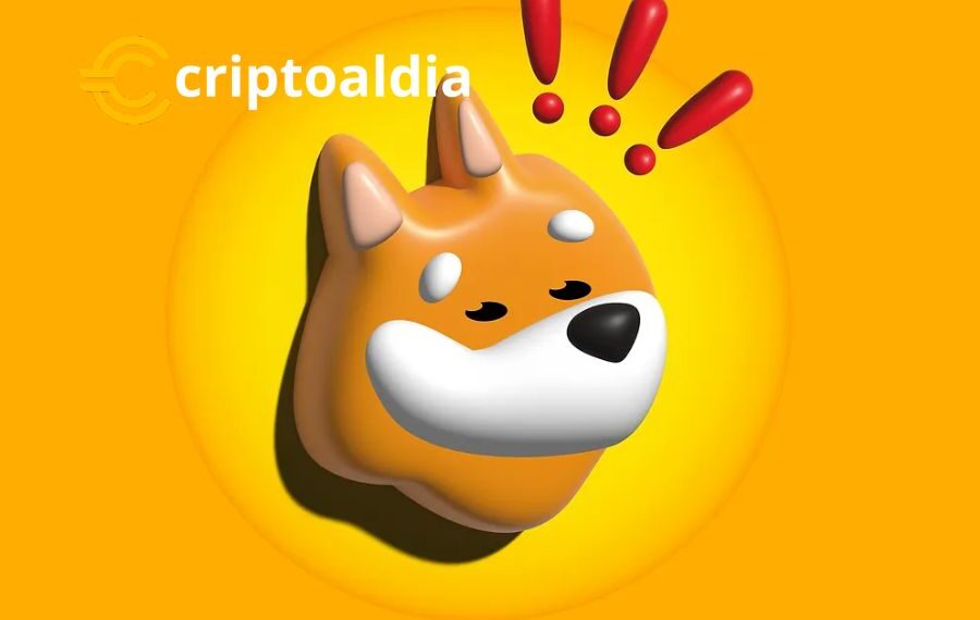 «¡Bonk alcanza nuevas alturas! ¡Un impresionante aumento del 26.019,06% desde su mínimo histórico!»