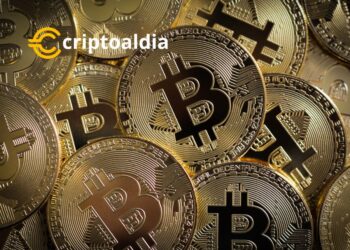 ¡El Auge Criptográfico se Prepara para su Gran Momento!