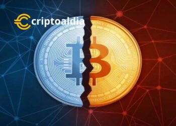 El Halving de Bitcoin Despierta un Renovado Interés en la Educación Criptográfica