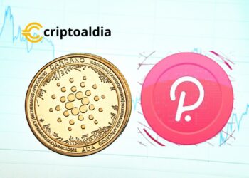 Cardano y Polkadot: Las Estrellas en Ascenso del Mundo Cripto