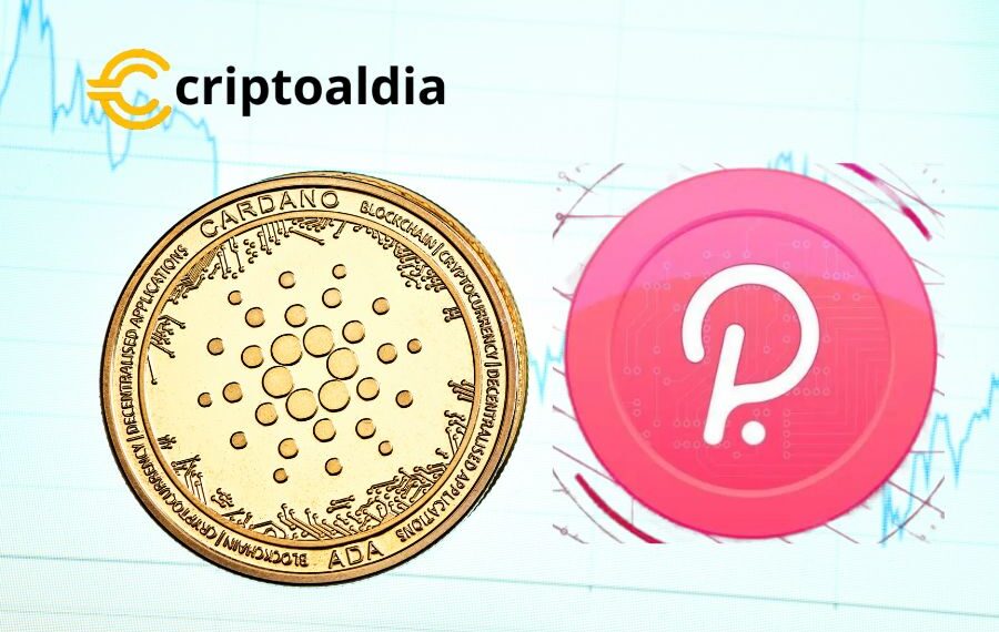Cardano y Polkadot: Las Estrellas en Ascenso del Mundo Cripto