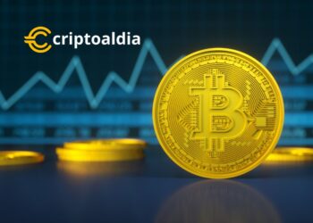 ¡»La Carrera de Bitcoin: Nuevos Inversores Contraatacan en un Juego de Paciencia»!
