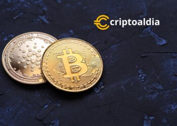 Cardano y Bitcoin Cash Unen Fuerzas por la Eficiencia