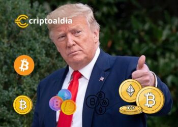 El Portafolio de Donald Trump Supera los USD 10 Millones