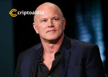 El Respaldo de Novogratz a las Memecoins