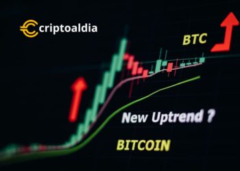Bitcoin: Inversores Alcistas Prevén un Repunte Sólido hacia los USD 70,000