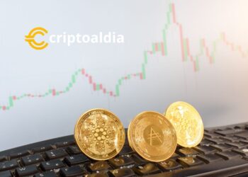 Cardano actualización de Red y Optimismo de Inversores