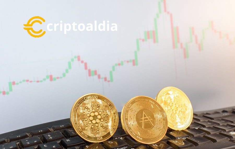 Cardano actualización de Red y Optimismo de Inversores