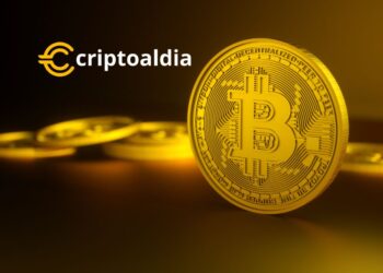 Bitcoin Optimismo Persistente a Pesar de la Volatilidad del Mercado