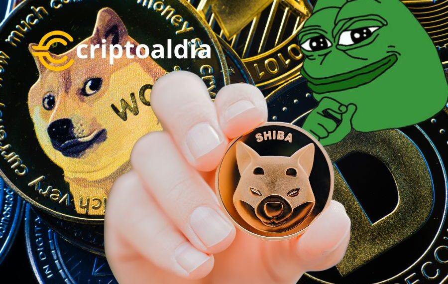 El Renacer de las Memecoins