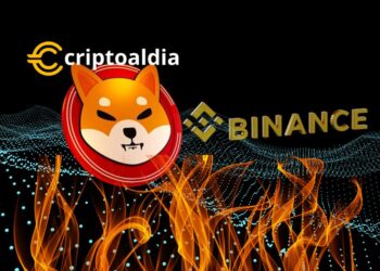 Shiba Inu sigue firme con la Solicitud de Quema a Binance