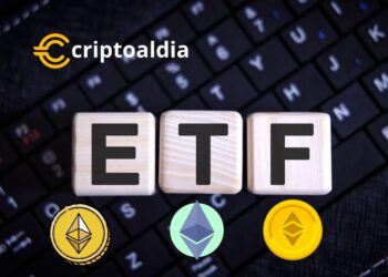 El ETF Refuerza a Ethereum: Un Hito en su Validación como Activo Financiero