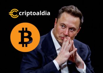 Elon Musk Respalda Bitcoin: «Veo Cierto Mérito» en la Criptomoneda Líder