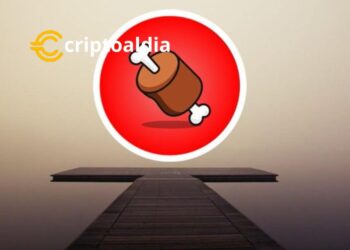 BONE: El Pilar de las Finanzas Descentralizadas