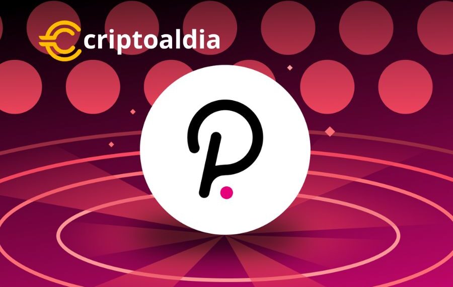 Polkadot: Un Ascenso Impresionante del 107,25% en Cuatro Años