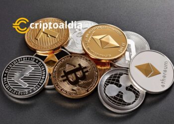 Blackbird Revoluciona la Web3 con Pagos de Alimentos en Criptomonedas