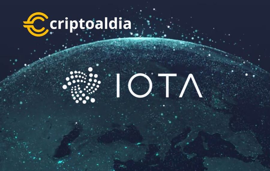 IOTA Lanza un Innovador Prototipo para la Gestión de Derechos de Propiedad Intelectual