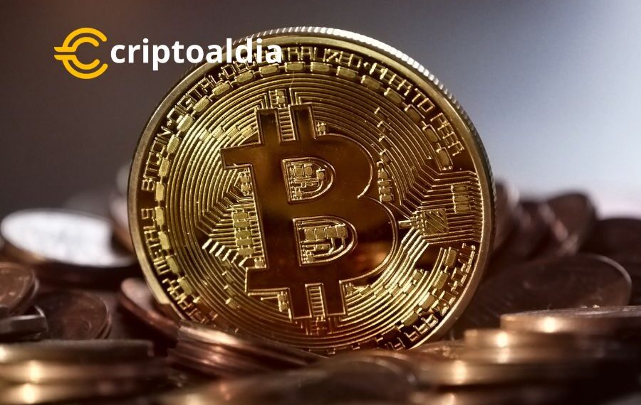 Caída Sorpresiva del 5% en el Precio de BTC: Impacto de la Desaceleración del IPC