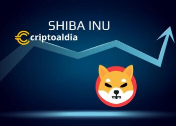 Shiba Inu Revoluciona el Mercado: Nuevas Rutas para Comprar Tokens BONE y USDC con Visa y MasterCard