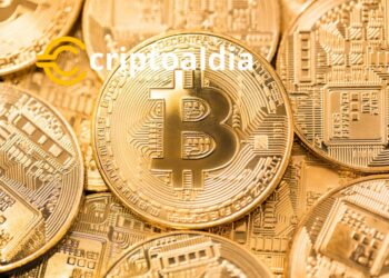 El Auge de los ETF de Bitcoin: Fondos de Cobertura se Adentran en el Mercado Cripto