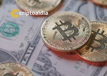 Bitcoin Mantiene su Curso: Resiliencia Frente al Dólar Más Débil de EE.UU. en 2024